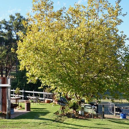 Hotel The Stables Wandin North Esterno foto