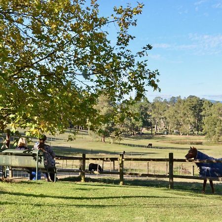 Hotel The Stables Wandin North Esterno foto