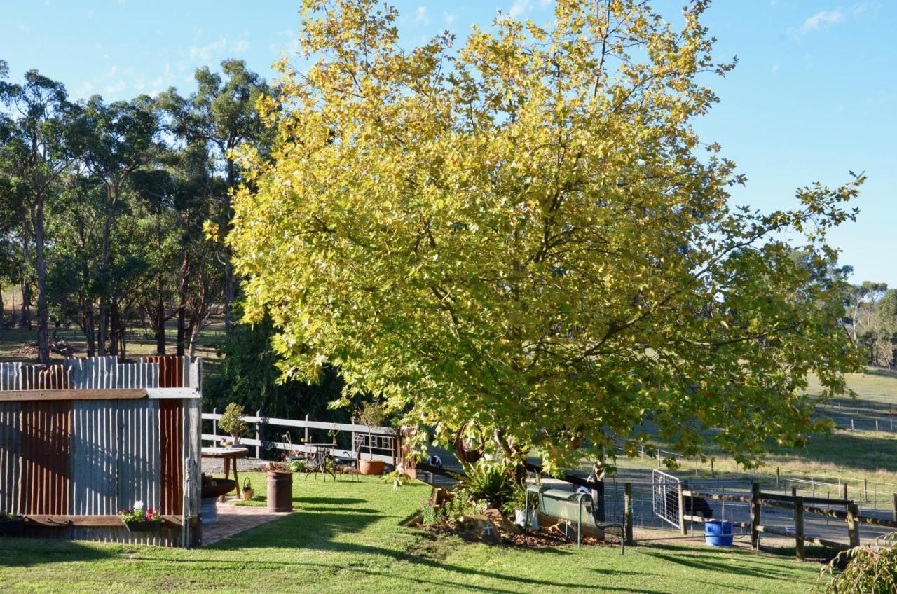 Hotel The Stables Wandin North Esterno foto