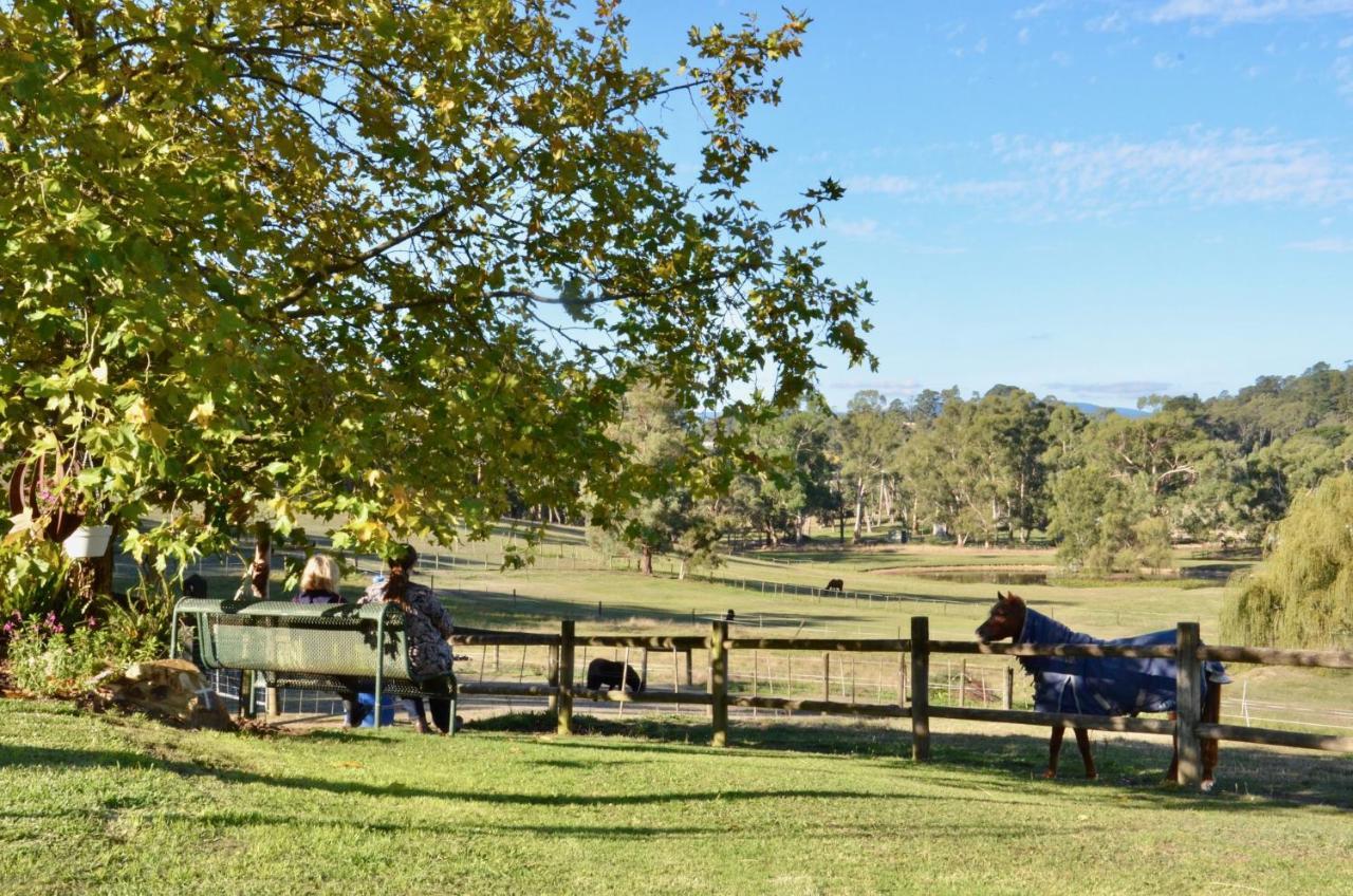 Hotel The Stables Wandin North Esterno foto