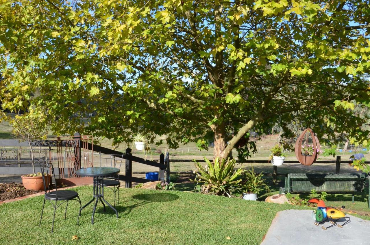 Hotel The Stables Wandin North Esterno foto