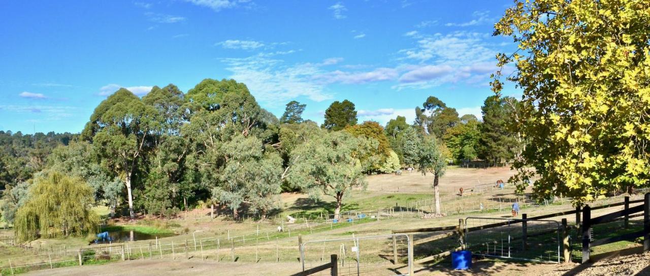 Hotel The Stables Wandin North Esterno foto